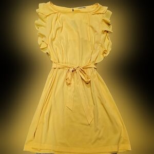Shelby & Palmer Yellow Ruffle Sleeve Dress